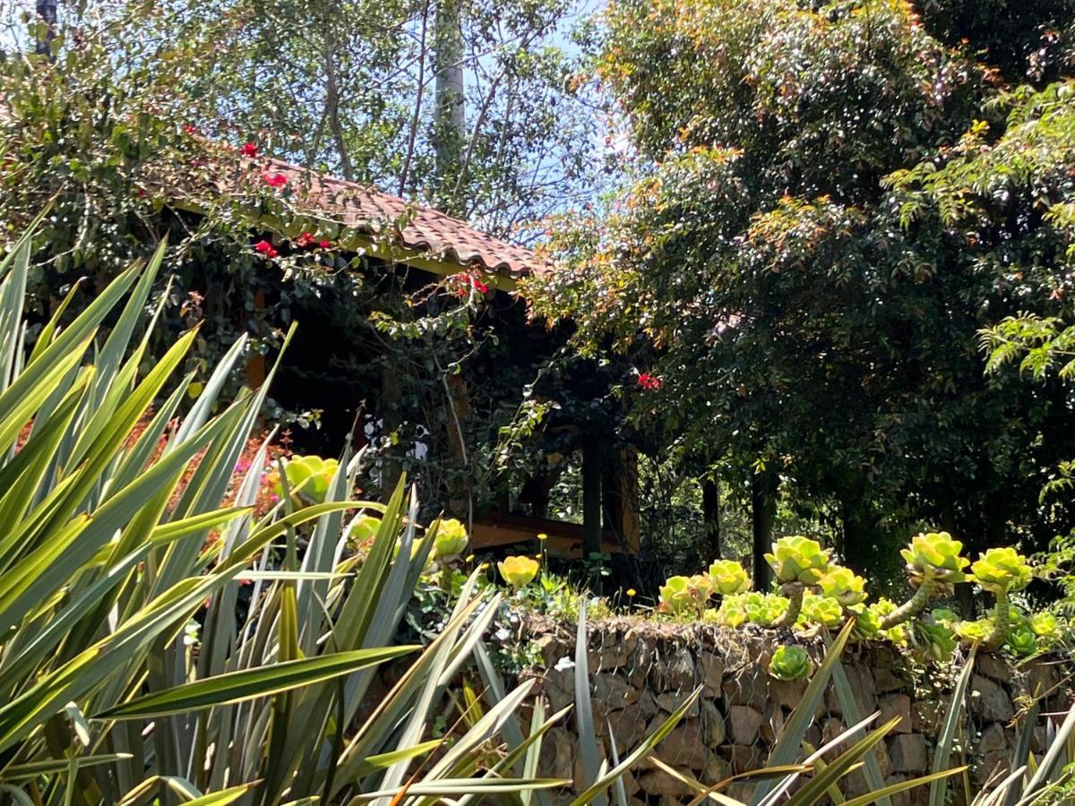 ホテル Passadhi Ayurveda & Yoga Retreat ビージャ・デ・レイバ エクステリア 写真